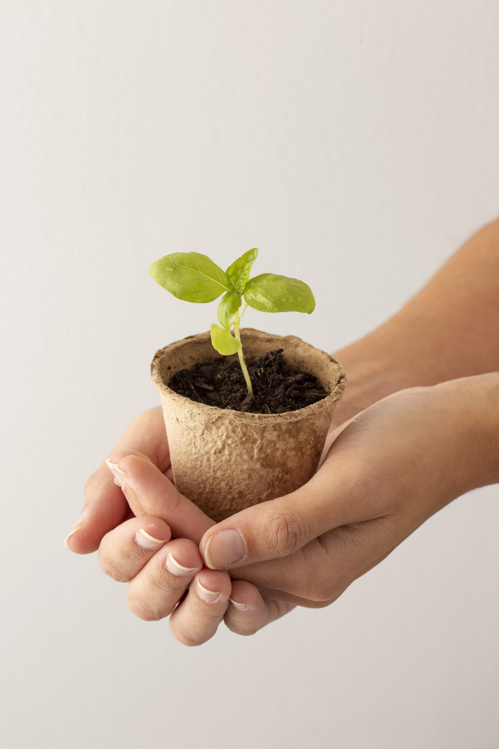 growing-life-concept-with-flowers